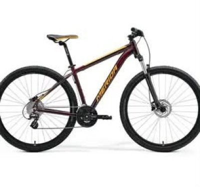 Krádež Bicykla 