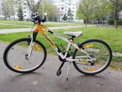 Krádež Bicykla