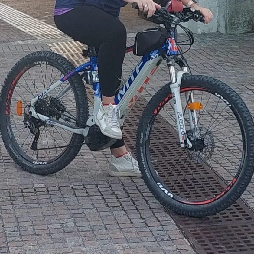 Krádež Bicykla