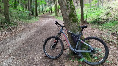 Krádež Bicykla 