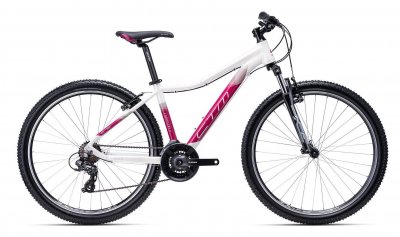 Krádež Bicykla 