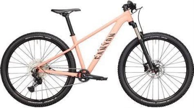 Krádež Bicykla 