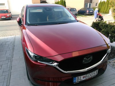 KRÁDEŽ vozidla BL600SX
