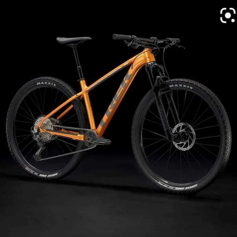 Krádež Bicykla