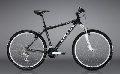 Krádež Bicykla