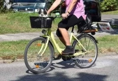 Krádež Bicykla 