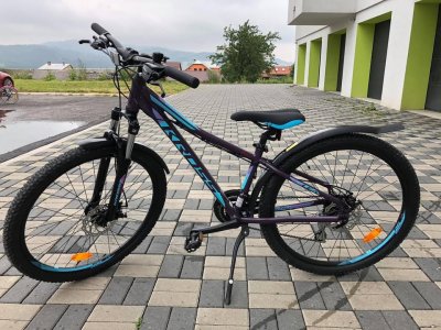 Krádež Bicykla