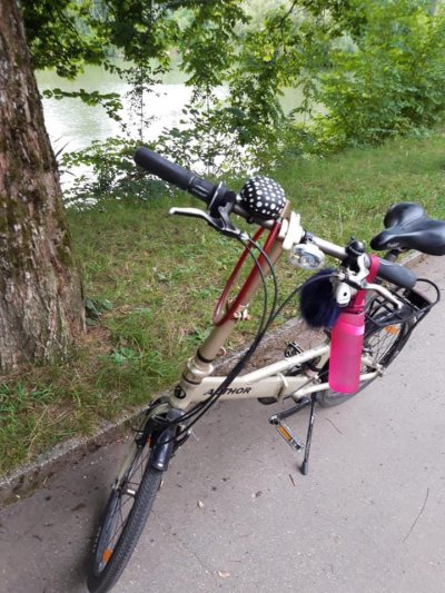 Krádež Bicykla 