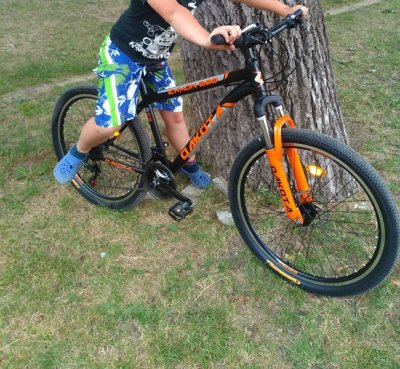 Krádež Bicykla