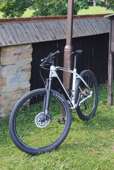 Krádež Bicykla 