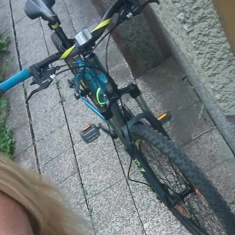 Krádež Bicykla 