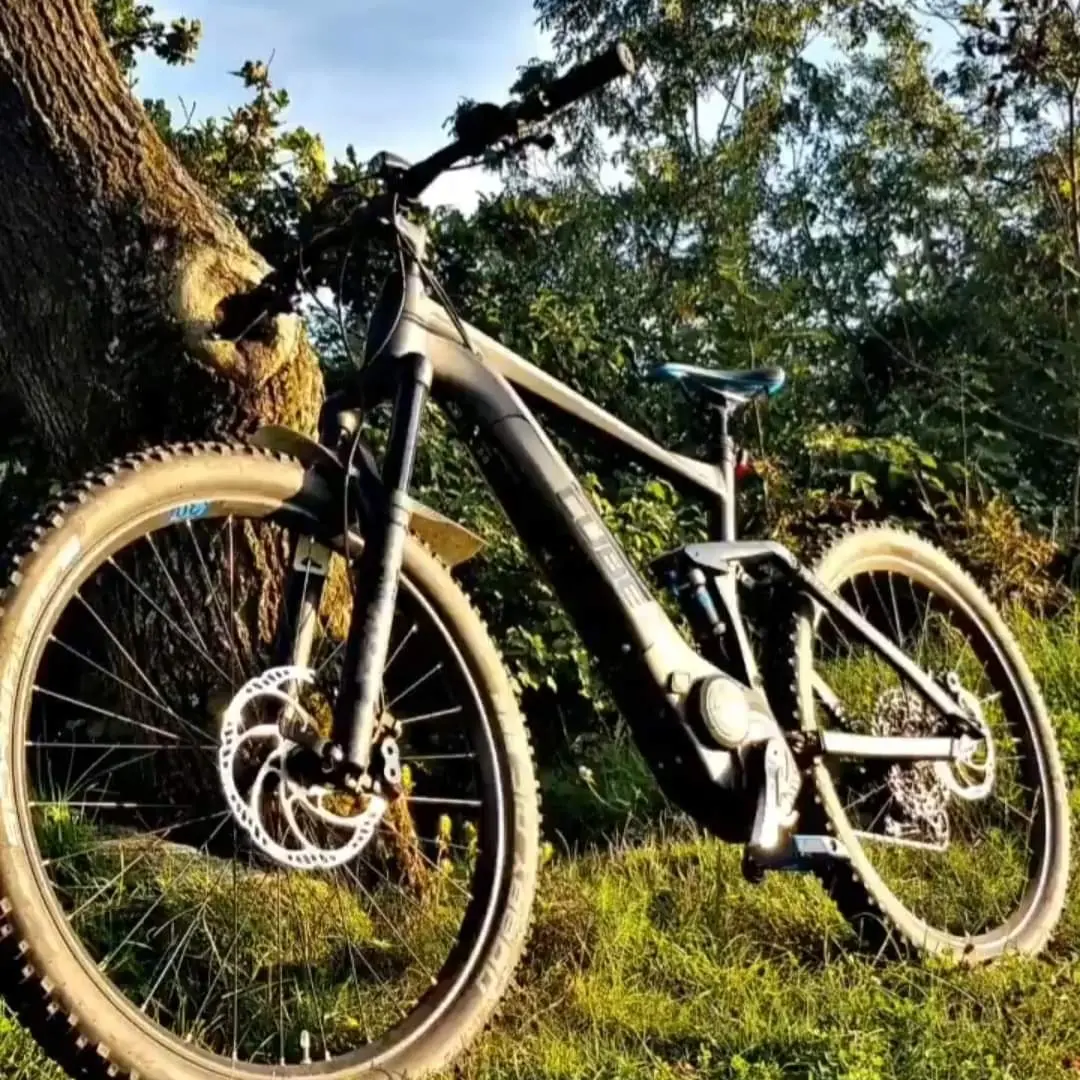 Krádež Bicykla 