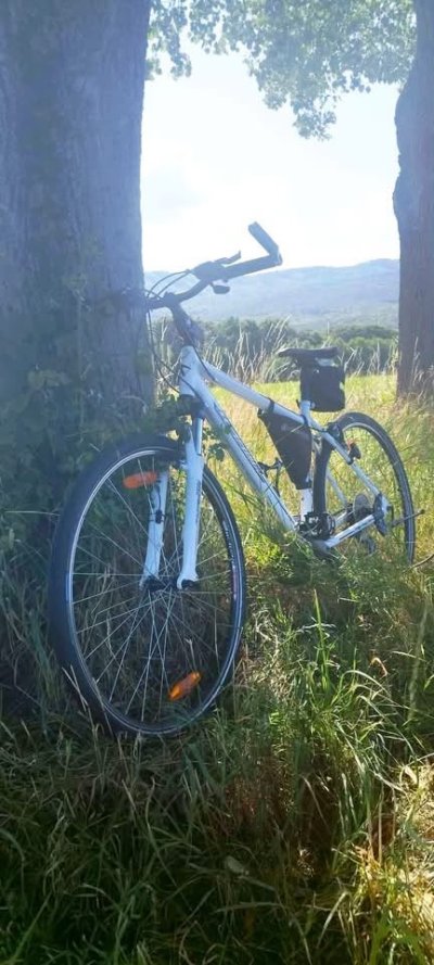 Krádež Bicykla 