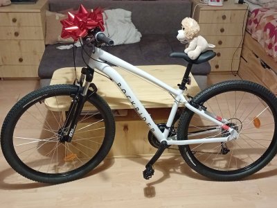 Krádež Bicykla 