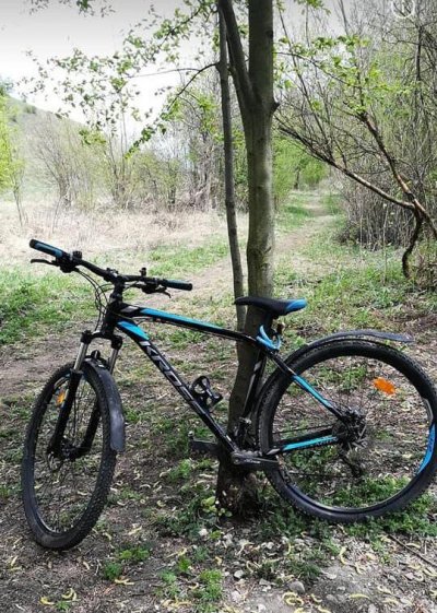 Krádež bicykla 