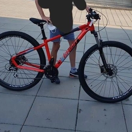 Krádež Bicykla