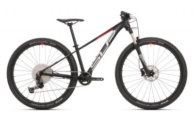 Krádež Bicykla