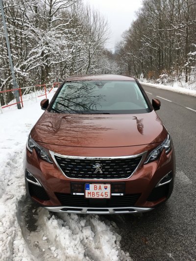 Krádež vozidla BL410RL