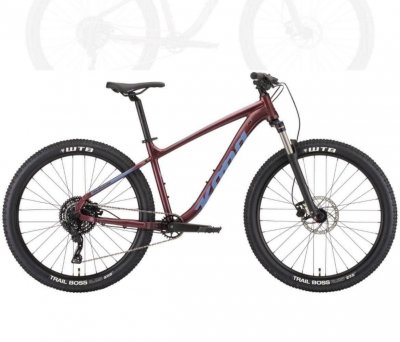 Krádež Bicykla