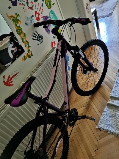 Krádež bicykla