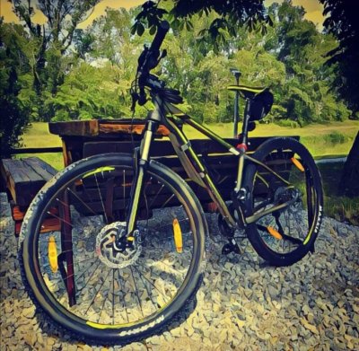 Krádež Bicykla 