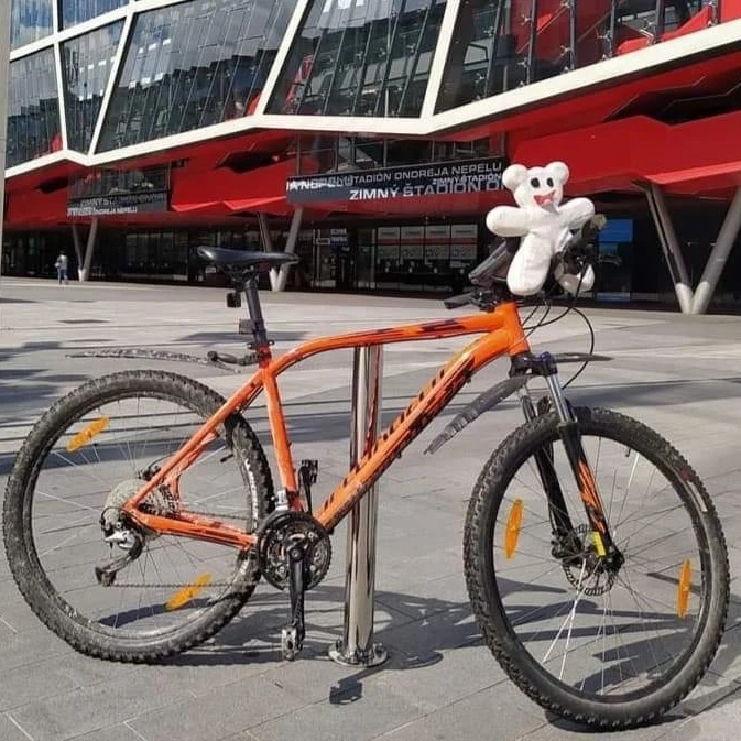 Krádež Bicykla 