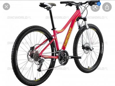 Krádež Bicykla