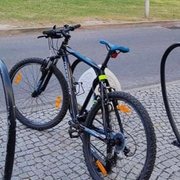 Krádež Bicykla