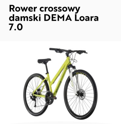 Krádež Bicykla 