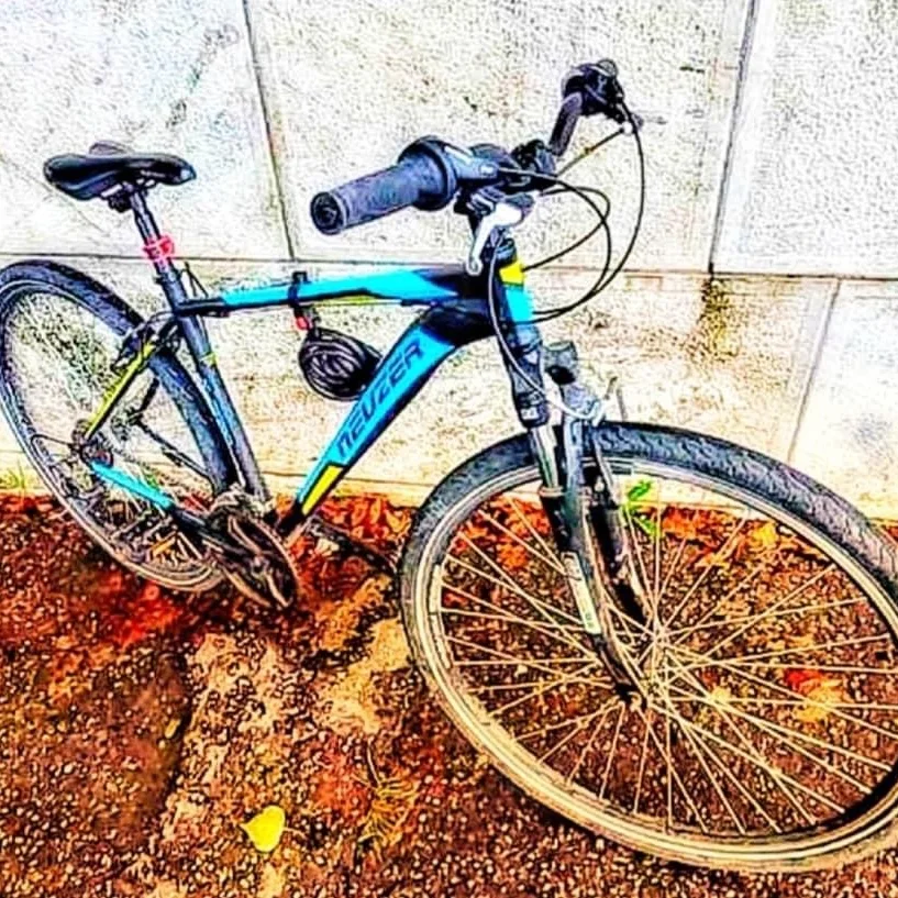 Krádež Bicykla 
