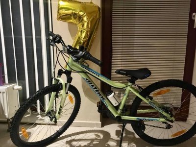 Krádež Bicykla 