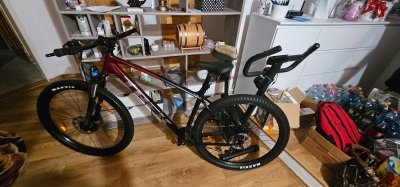 Krádež Bicykla 