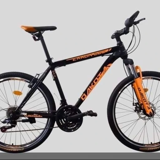 Krádež Bicykla 