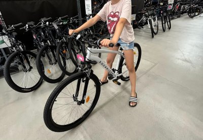Krádež Bicykla 
