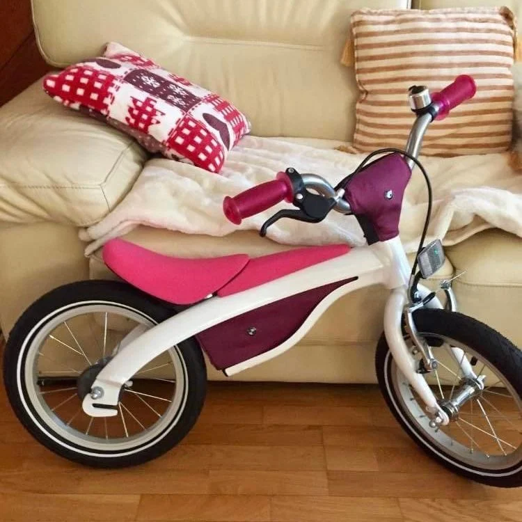 Krádež Bicykla 