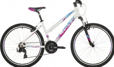 Krádež Bicykla 