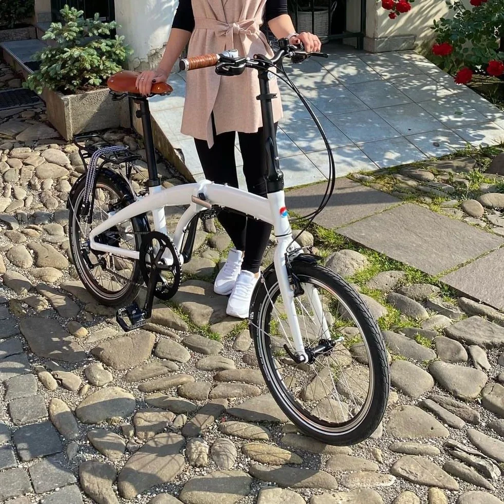 Krádež Bicykla