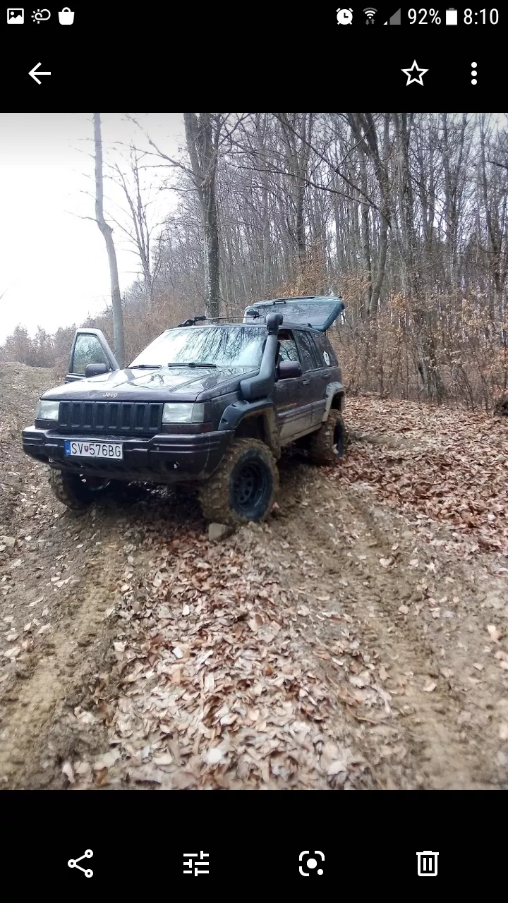 Krádež vozidla  SV576BG