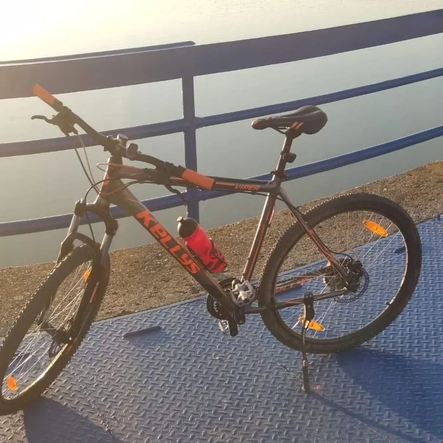Krádež Bicykla