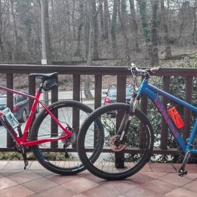 Krádež Bicykla