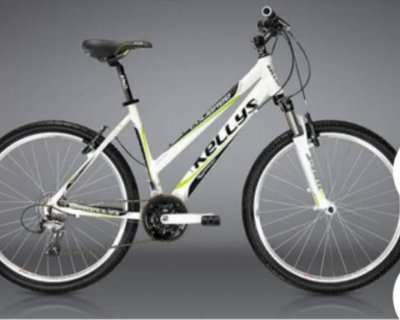Krádež Bicykla 