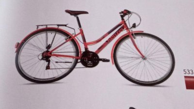 Krádež Bicykla