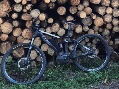 Krádež Bicykla