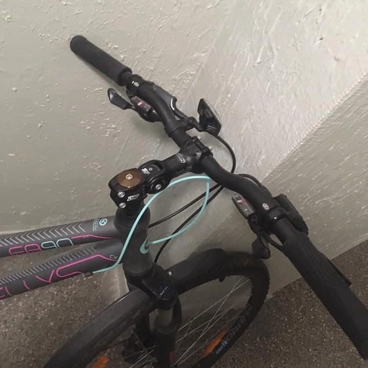 Krádež Bicykla 