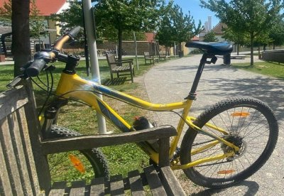 Krádež Bicykla 