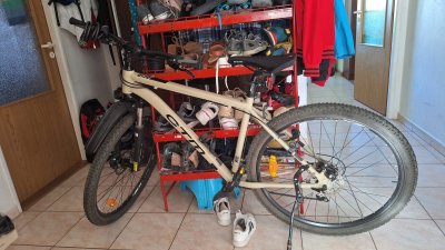 Krádež Bicykla 