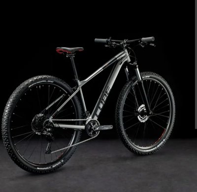 Krádež Bicykla 
