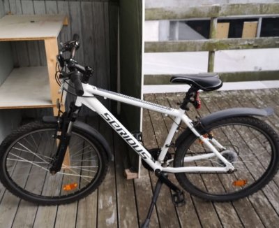 Krádež Bicykla 