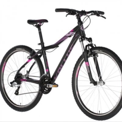 Krádež Bicykla
