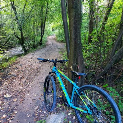 Krádež Bicykla 